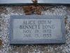 alice_odum_bennett_long.jpg